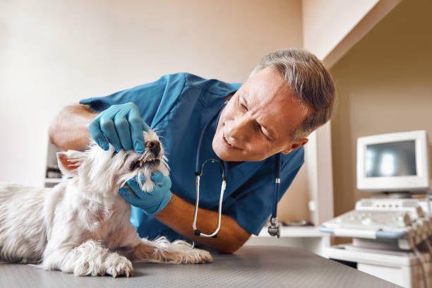 Best Urgent Care for Lost Fillings or Crowns in Brazoria, TX