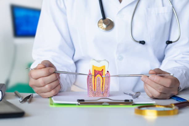 Best Emergency Wisdom Teeth Removal in Brazoria, TX